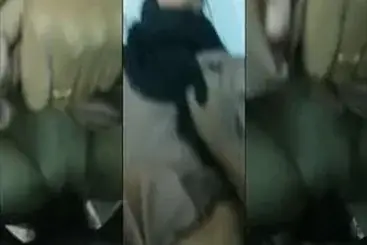 Bokep Jilbab Pelajar Indo First Time Ngentot Brutal poster